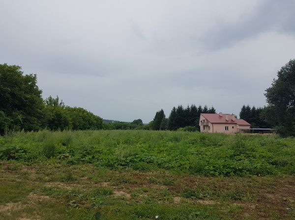 Image 1 Title